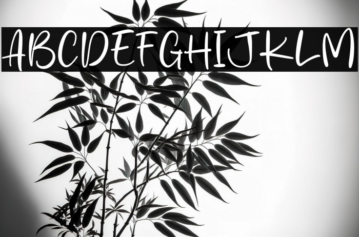 Andria Signature Example 3