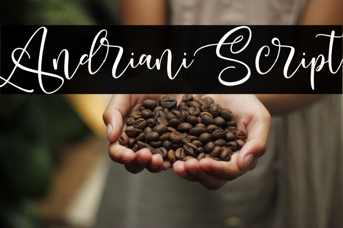 Andriani Script Font examples