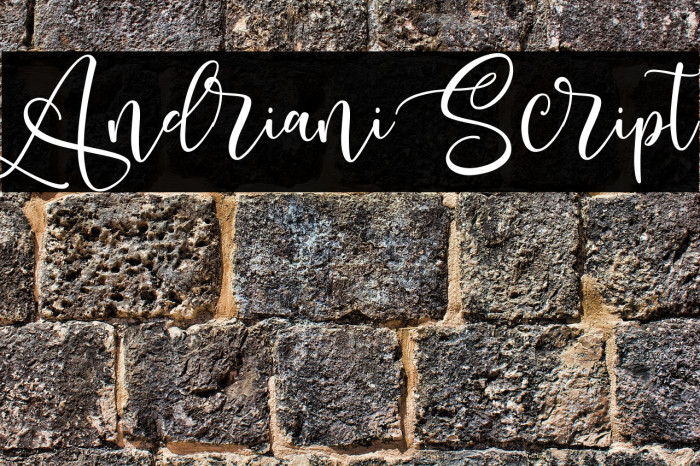 Andriani Script Font examples