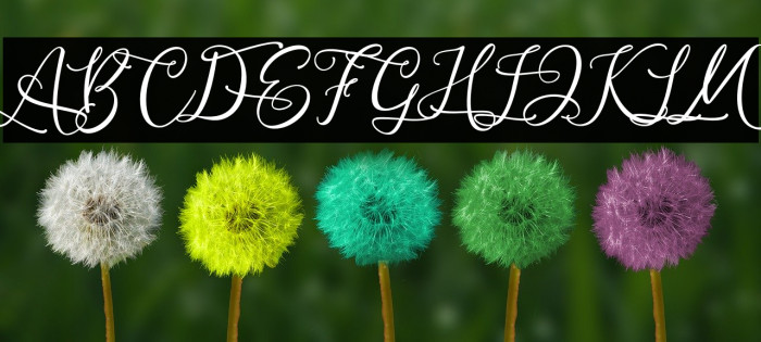 AndrianiScript Font examples