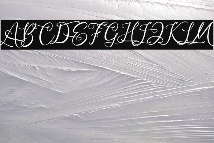 AndrianiScript Font examples