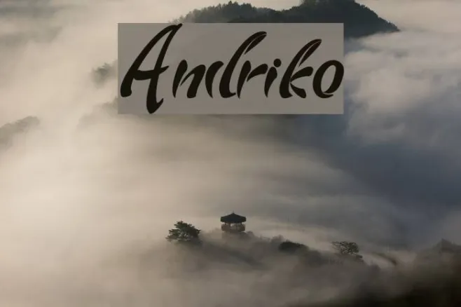 Andriko Example 2