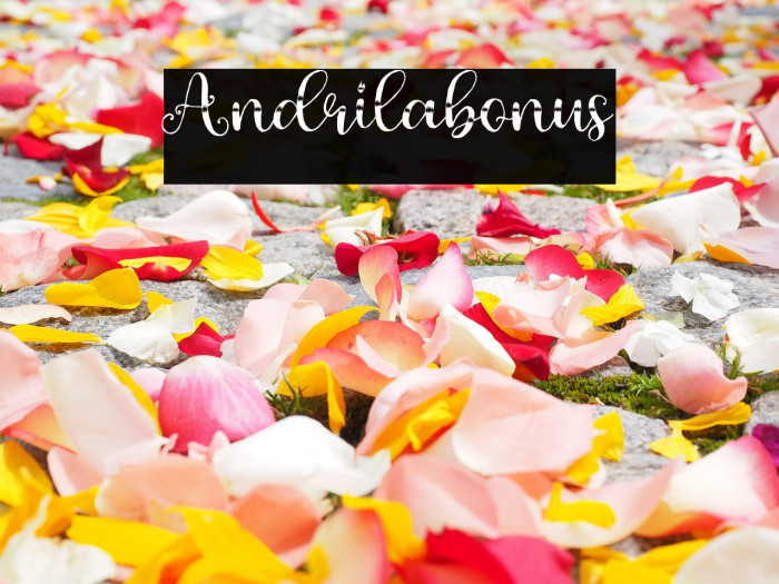 Andrilabonus Example 1