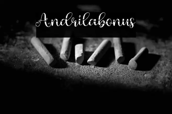 Andrilabonus Font examples
