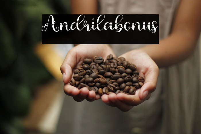 Andrilabonus Example 3