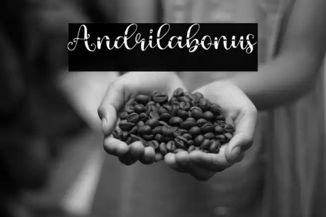Andrilabonus Font examples