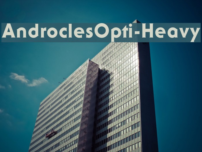 AndroclesOpti-Heavy Шрифта examples