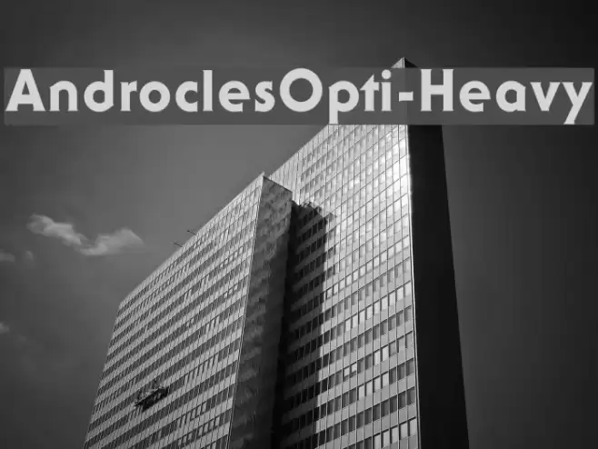 AndroclesOpti-Heavy Font examples