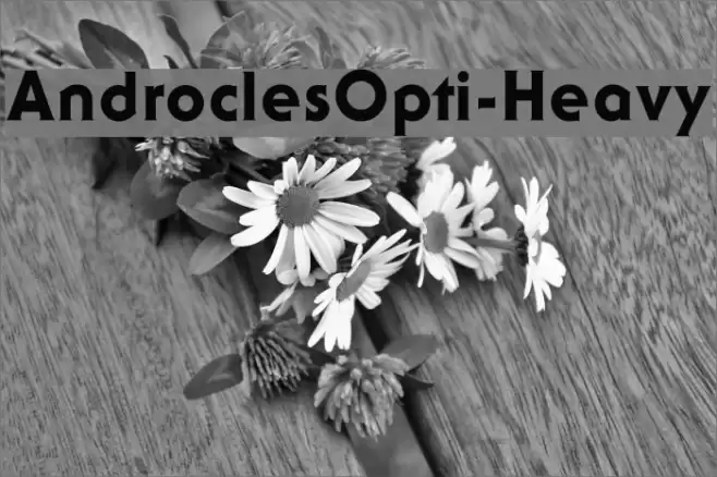 AndroclesOpti-Heavy Font examples