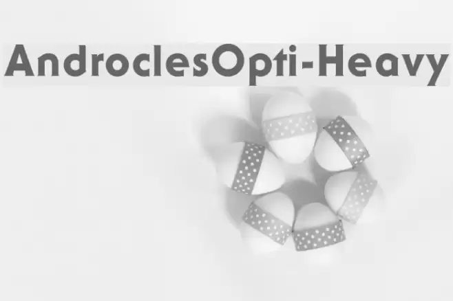 AndroclesOpti-Heavy Font examples
