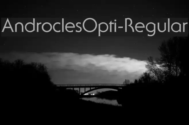 AndroclesOpti-Regular Font examples