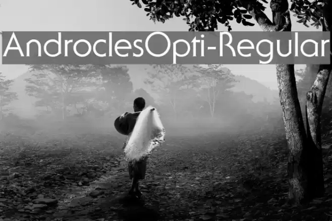 AndroclesOpti-Regular Font examples