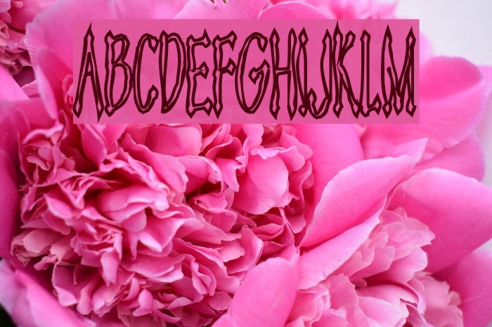 Androganonamous Font examples