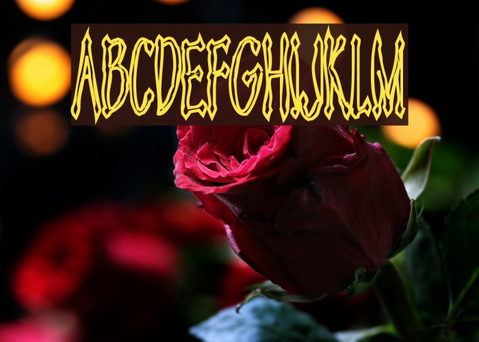 Androganonamous Font examples