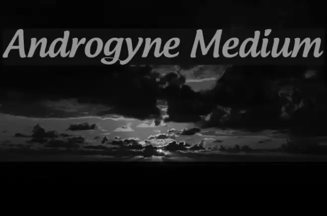 Androgyne Medium Font examples
