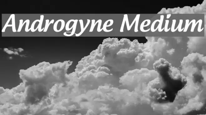 Androgyne Medium Font examples