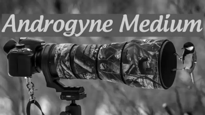 Androgyne Medium Font examples