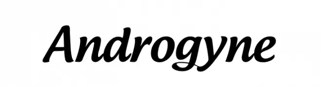 Androgyne  Скачать бесплатные шрифты