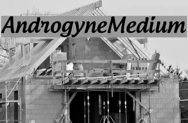 AndrogyneMedium Caratteri examples