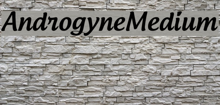 AndrogyneMedium Font examples