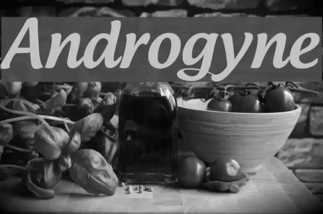 Androgyne Font examples