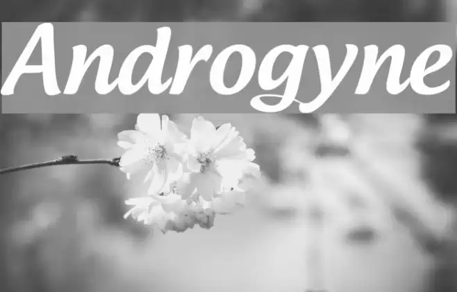 Androgyne Font examples