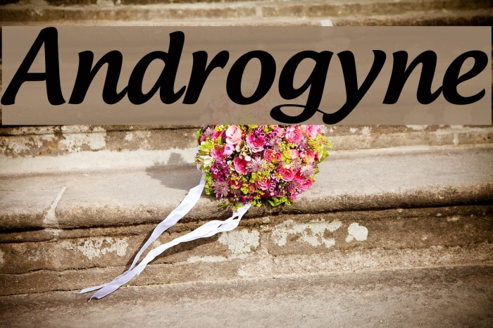 Androgyne Font examples