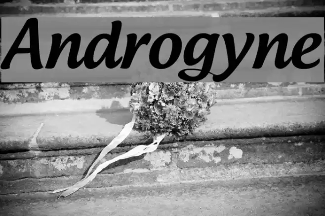 Androgyne Font examples