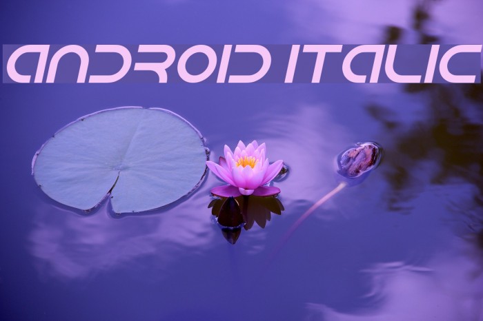 Android Italic Font examples