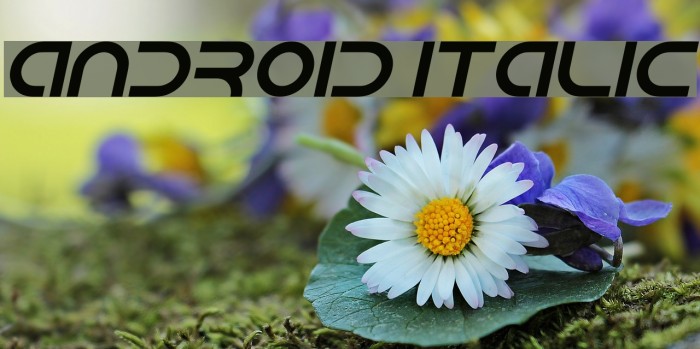 Android Italic Font examples