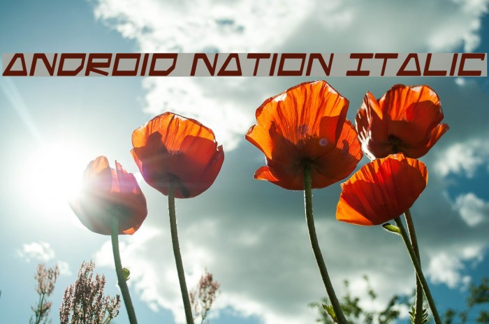 Android Nation Italic Example 1