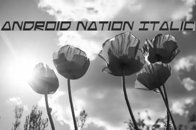 Android Nation Italic Font examples