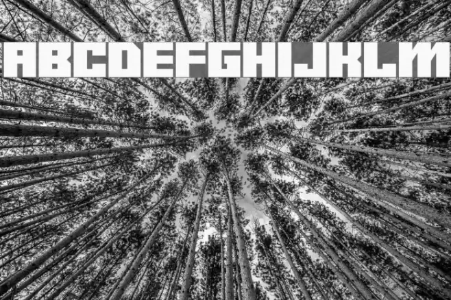 Android y Font examples