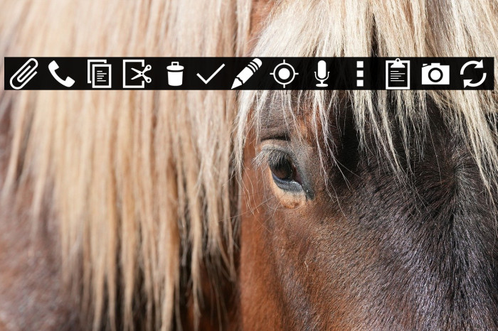 AndroidIcons Example 1