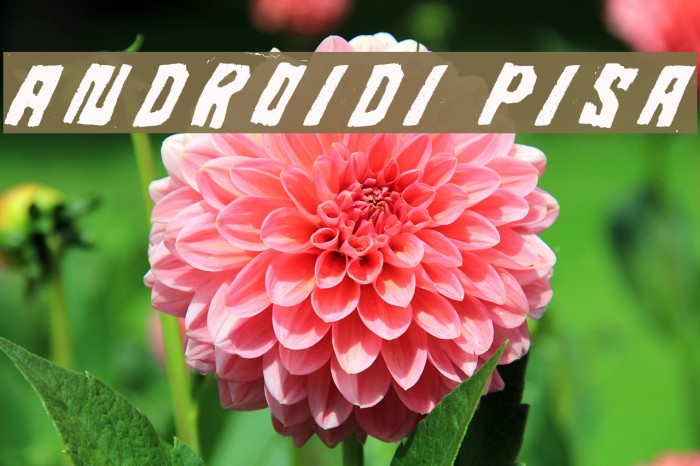 Androidi Pisa Font examples