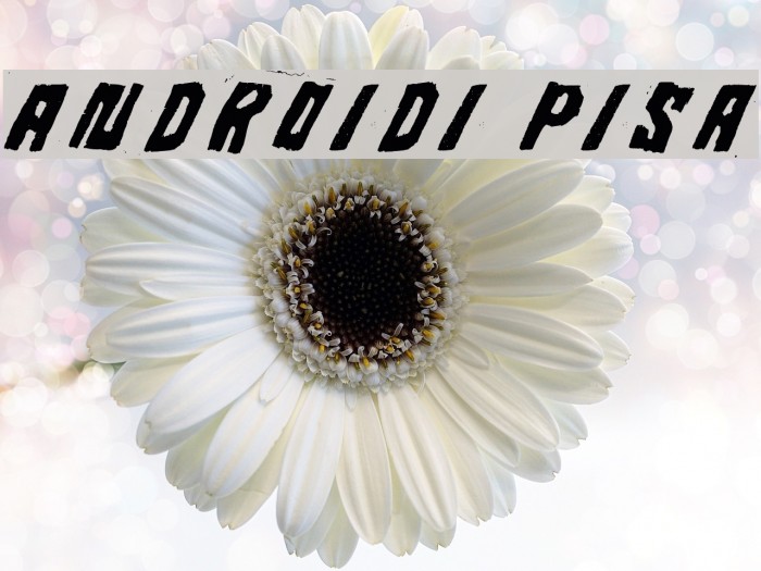 Androidi Pisa Font examples