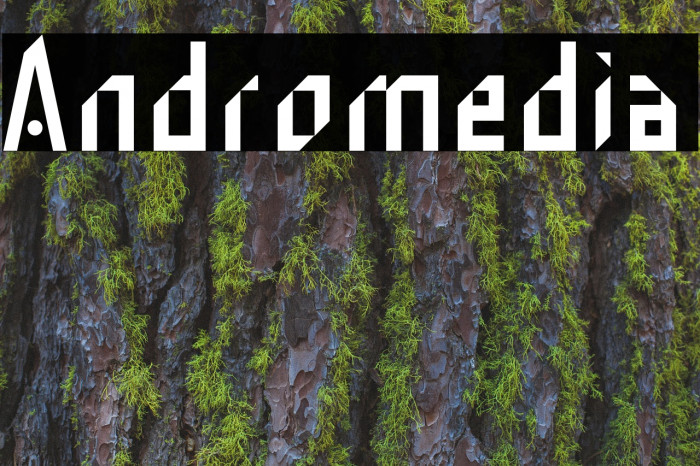 Andromedia Fonte examples