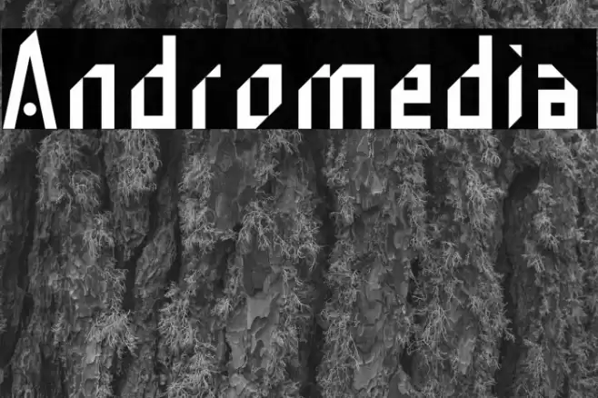 Andromedia Font examples
