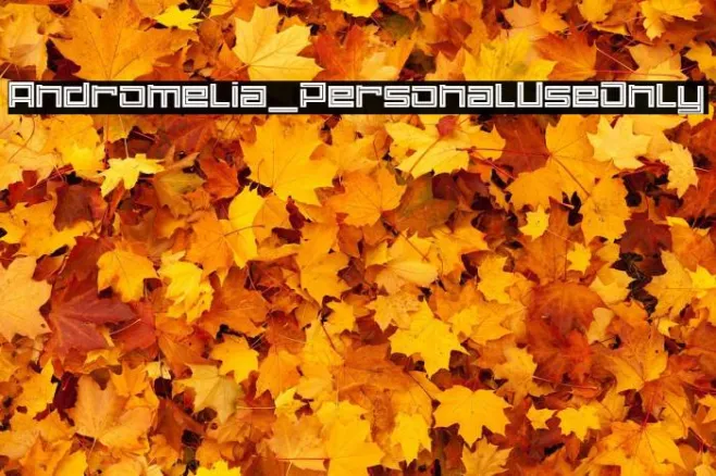 Andromelia_PersonalUseOnly Example 3
