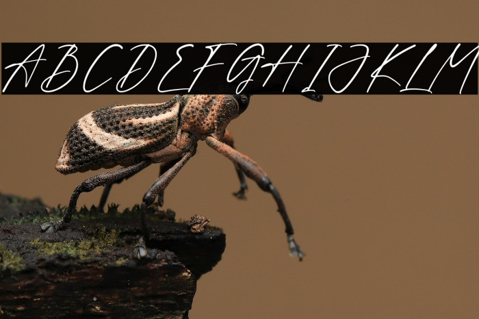 Andryaton Detagheart Example 1