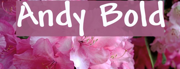 Andy Bold Font examples