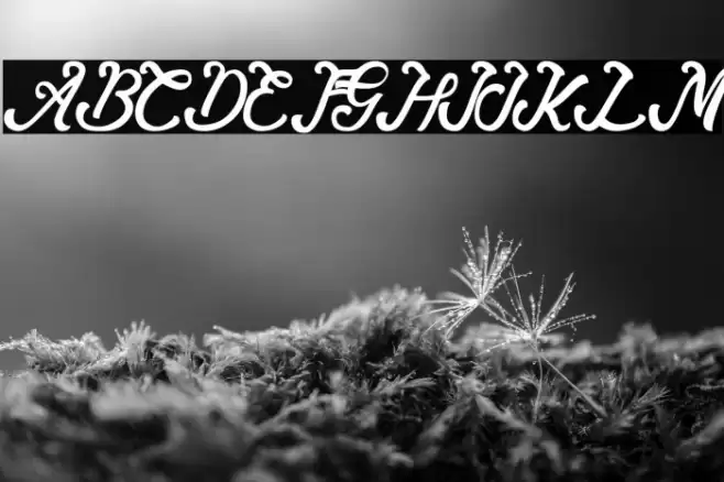 Andy Tusvah Font examples