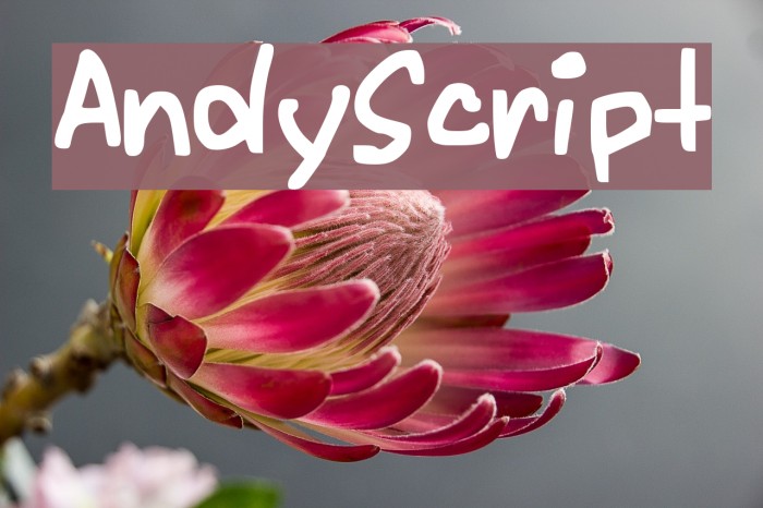 AndyScript Font examples
