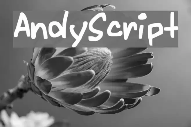 AndyScript Font | Free Download (TTF/OTF) | FFonts.net