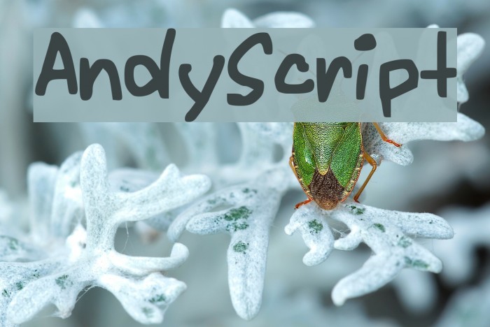 AndyScript Font examples
