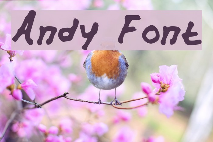 Andy Font examples