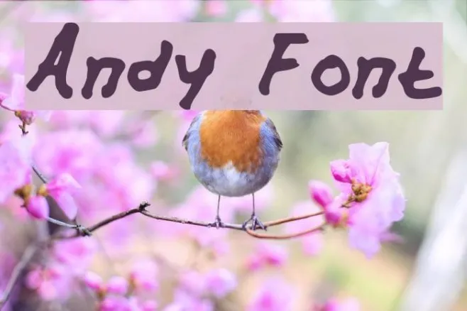 Andy Example 1