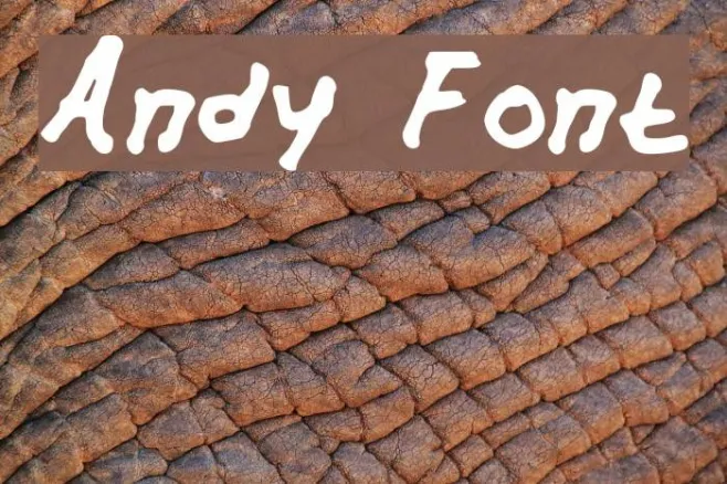 Andy Example 3