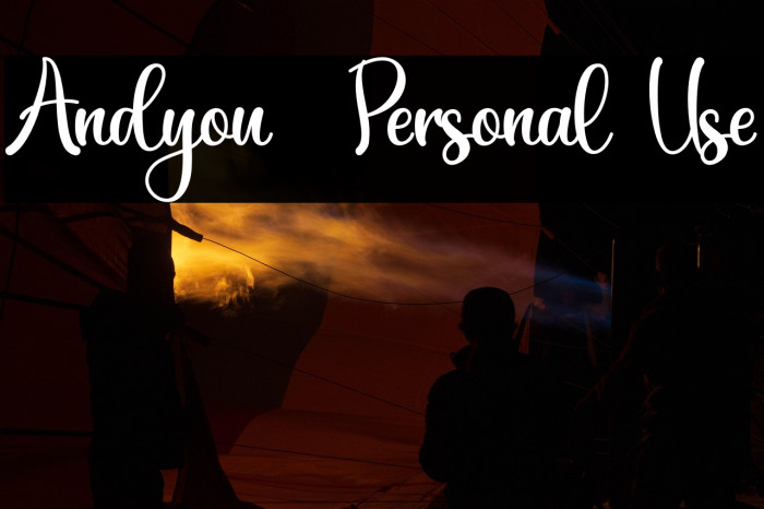 Andyou - Personal Use Example 1