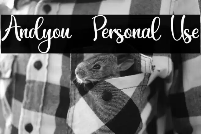 Andyou - Personal Use Font examples